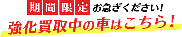 期間限定！お急ぎください。強化買取中の車はこちら！